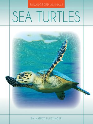 Sea Turtles - ebook